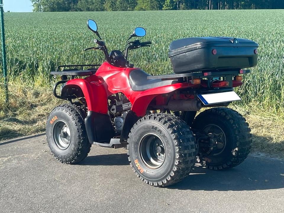 MZ Reinmech Quad Motortek MT 175 (MZ Bison) TÜV Tausch 2004 — rear view