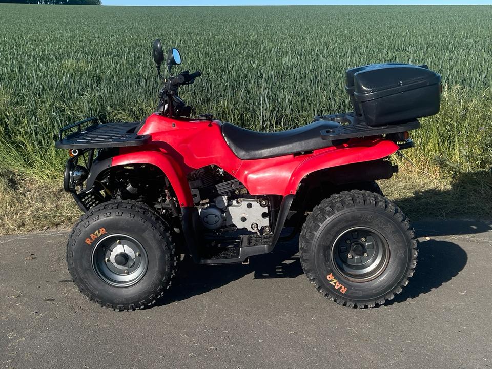 MZ Reinmech Quad Motortek MT 175 (MZ Bison) TÜV Tausch 2004 — interior