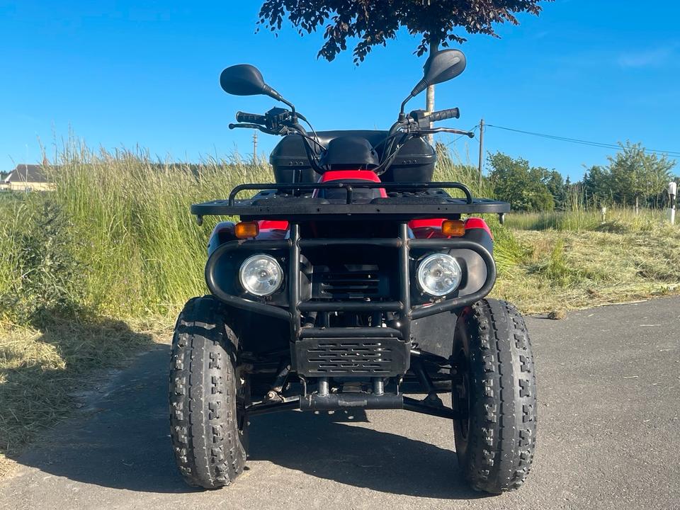 MZ Reinmech Quad Motortek MT 175 (MZ Bison) TÜV Tausch 2004 — engine