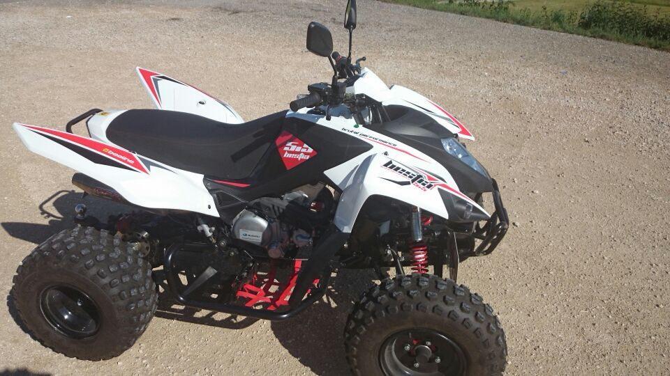  Quad Beeline Bestia 5.5 Adly LOF 2013 — rear view