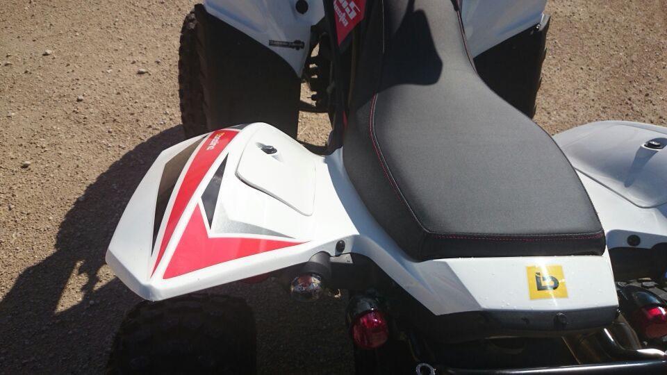  Quad Beeline Bestia 5.5 Adly LOF 2013 — photo 5