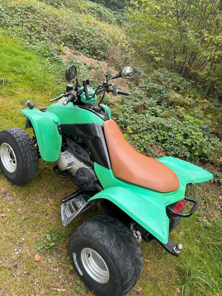 Kymco Quad Kymco KXR 250!! **NUR TIEFGARAGE GESTANDEN** 2005 — interior