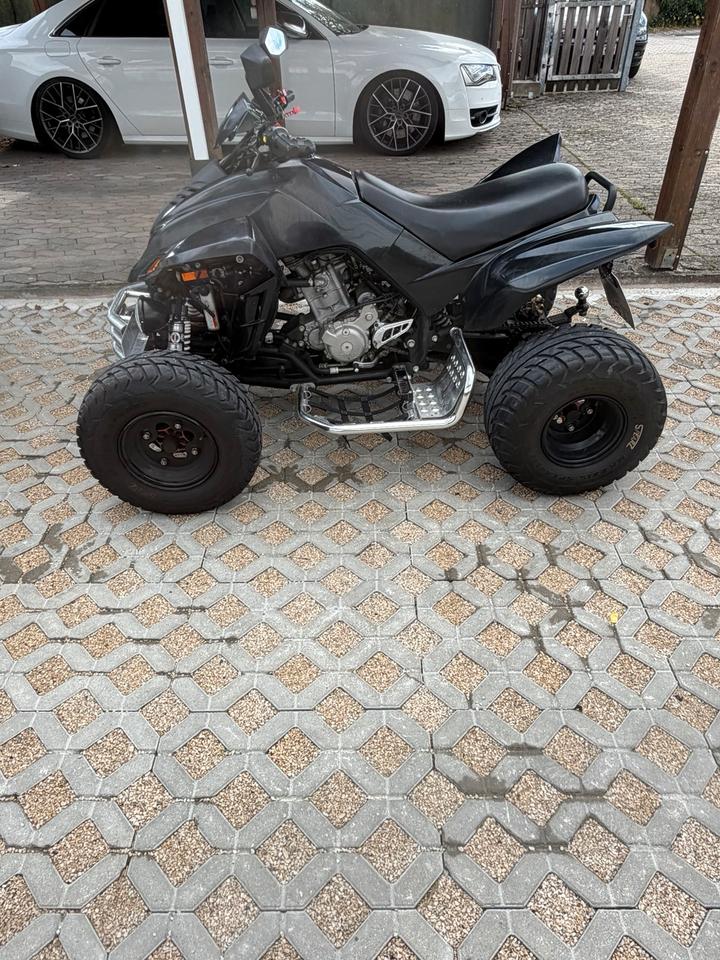 Weitere Motorräder Dinli 450 Special S 2013 — rear view