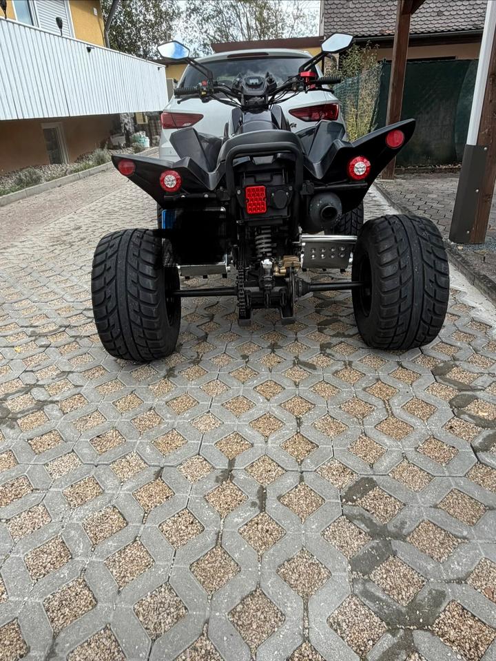 Weitere Motorräder Dinli 450 Special S 2013 — interior
