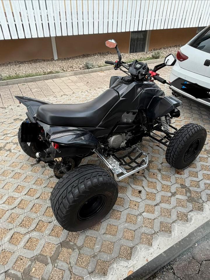 Weitere Motorräder Dinli 450 Special S 2013 — engine 450 ccm