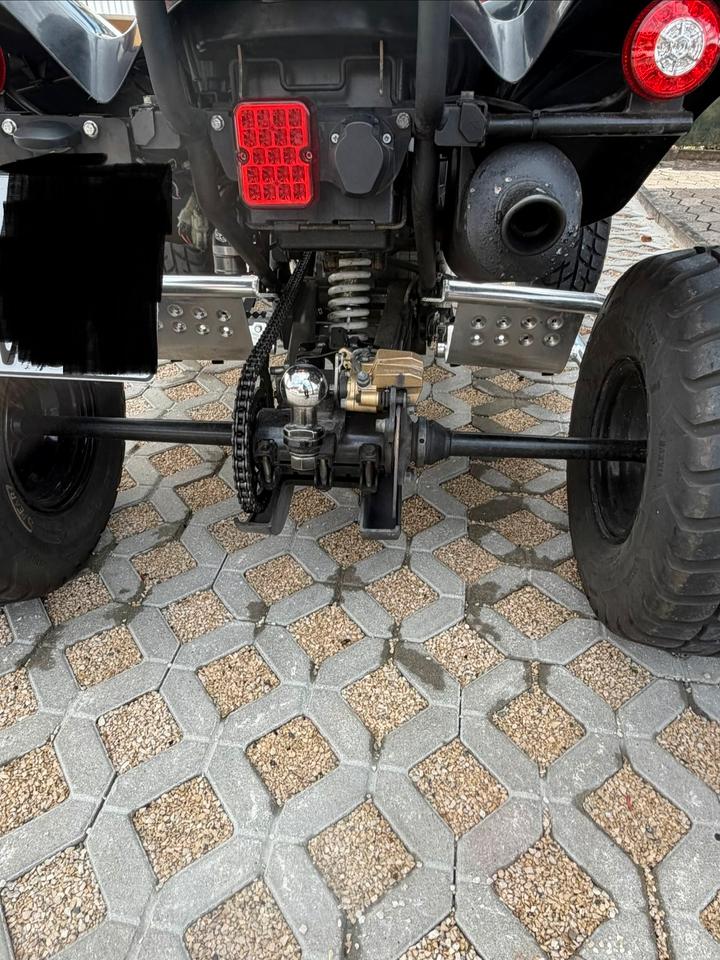 Weitere Motorräder Dinli 450 Special S 2013 — photo 8
