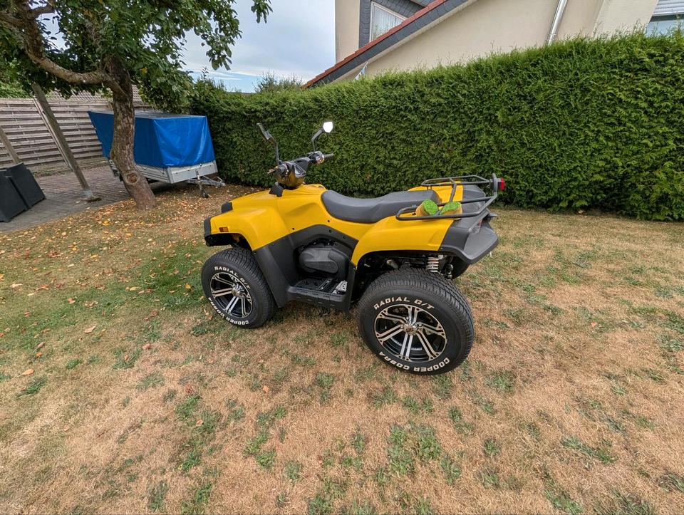 Weitere Motorräder Cectek 4x4 Gladiator Quad ATV Lof Achtung Info!!!! 2009 — photo 5