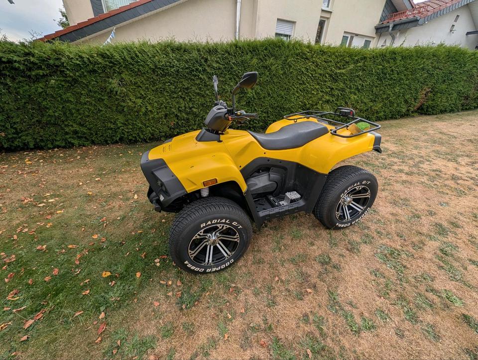 Weitere Motorräder Cectek 4x4 Gladiator Quad ATV Lof Achtung Info!!!! 2009 — photo 6