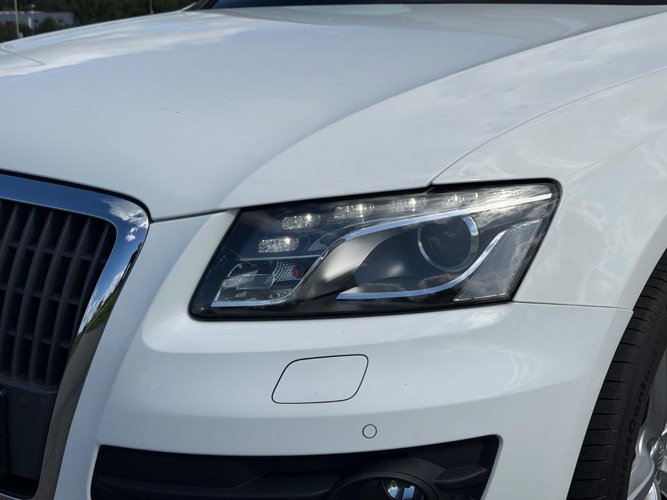 Audi Q5 2010 — rear view