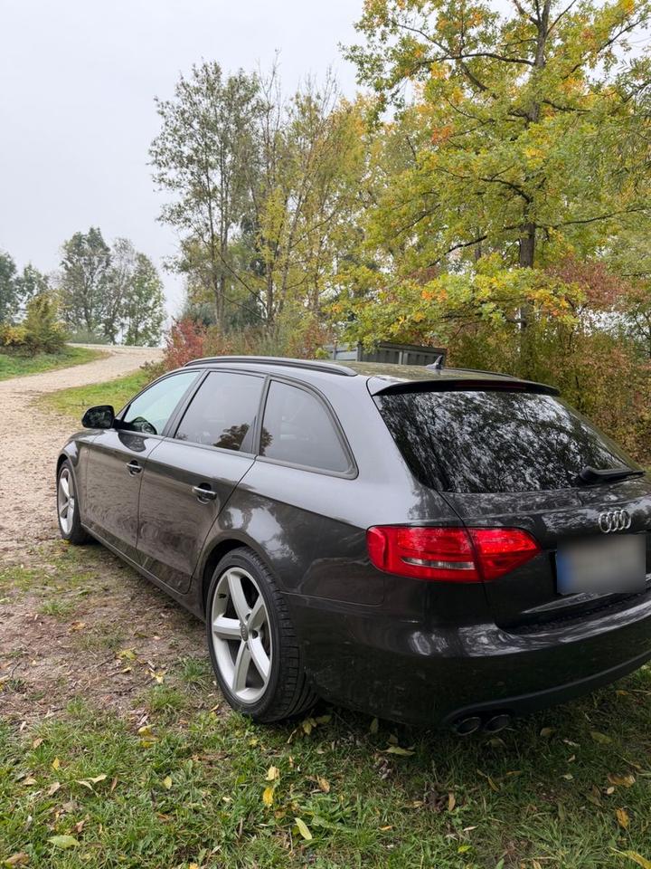 Audi A4 2009 — rear view