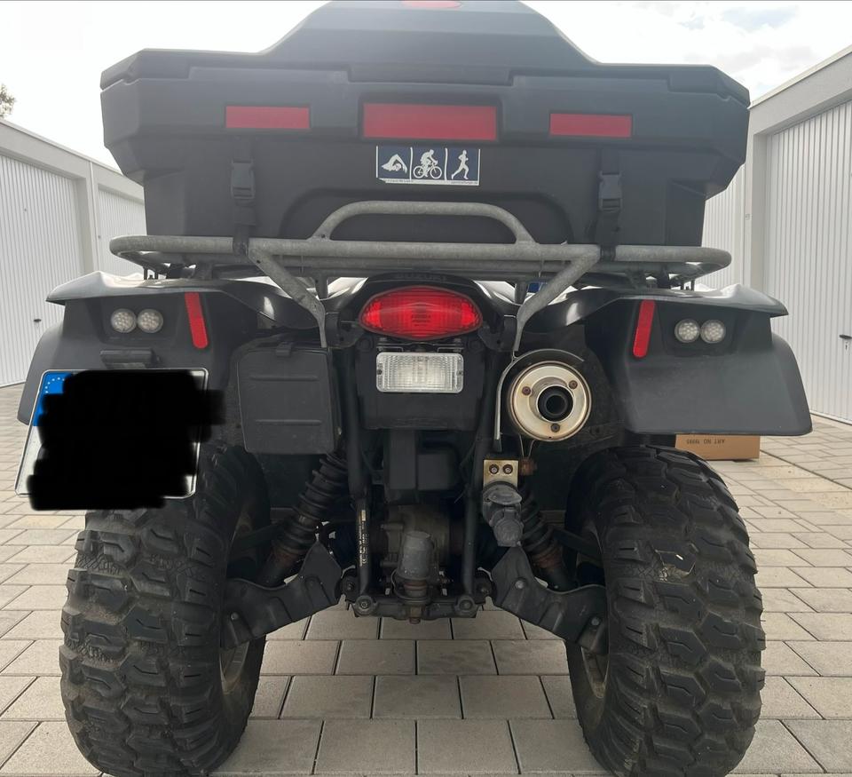 Suzuki King Quad LTA 750 2009 — вигляд ззаду