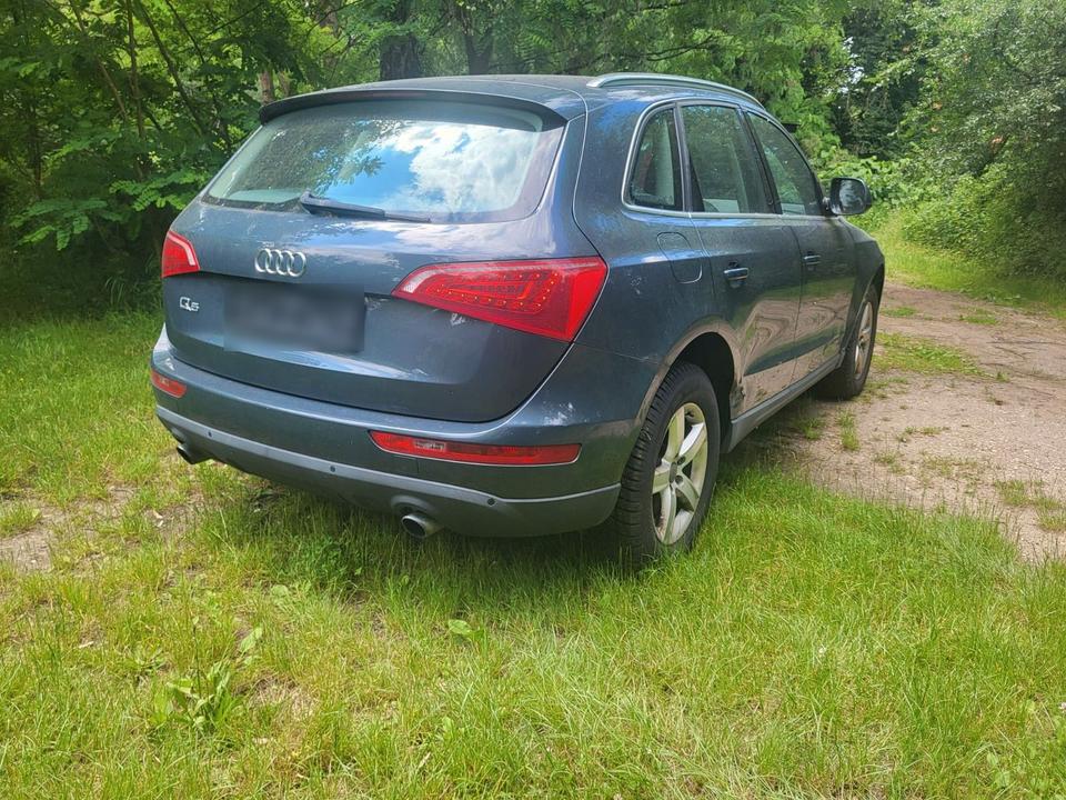 Audi Q5 2009 — photo 8