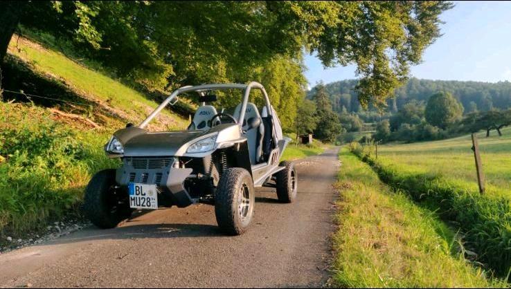 Weitere Motorräder Adly Buggy MK320 Minicar 320 2010 — вигляд ззаду