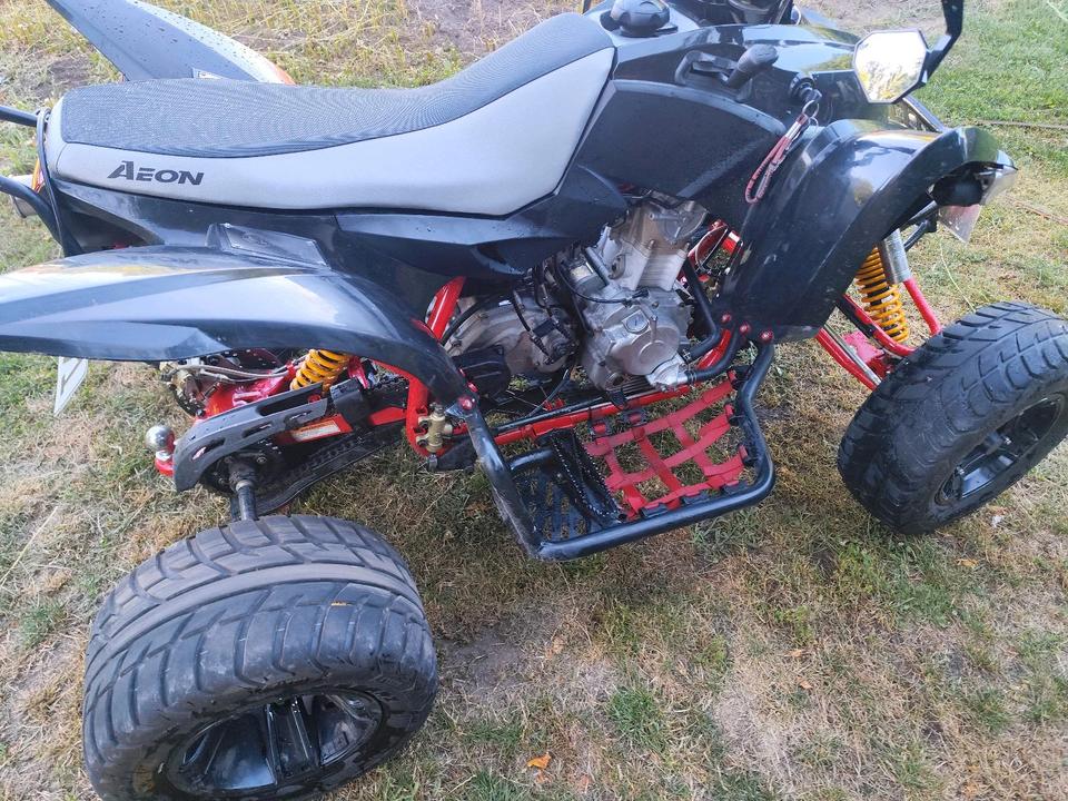  Quad Aeon Cobra 400 nur 1400km . 2015 — rear view