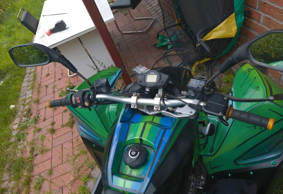 Weitere Motorräder adly Hurricane 320s Tausch 2015 — вигляд ззаду