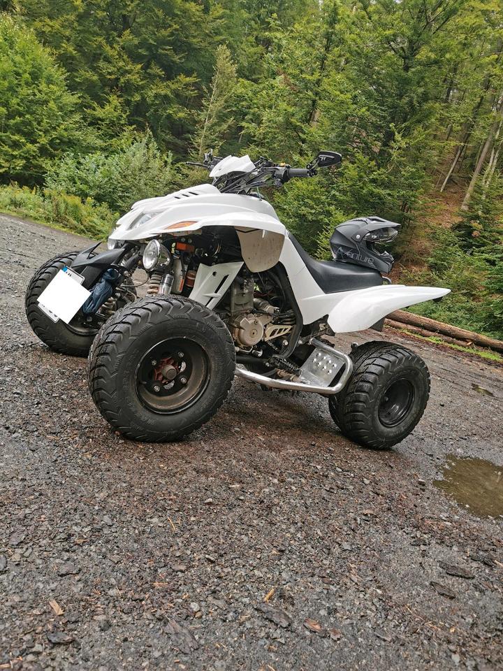 Dinli 450 Quad Lof zulassung 2012 — авто для ЗСУ з Європи
