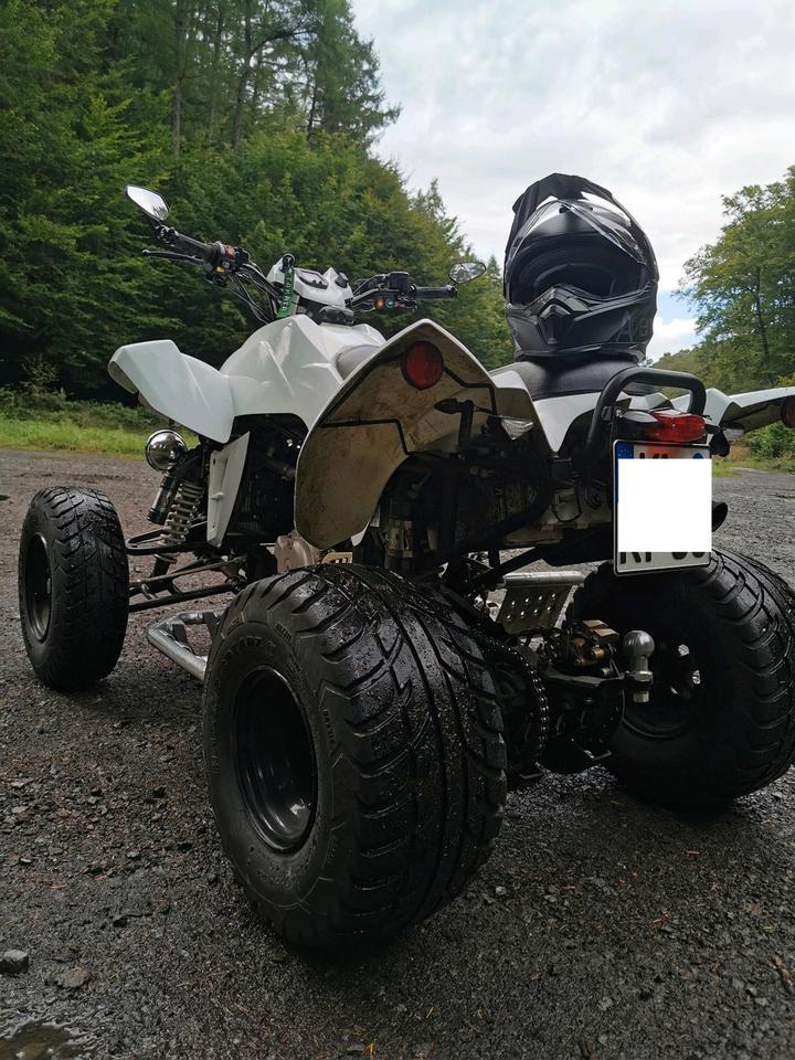  Dinli 450 Quad Lof zulassung 2012 — вигляд ззаду