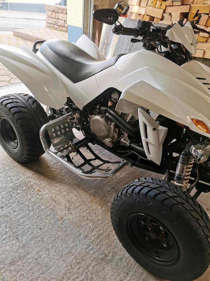  Dinli 450 Quad Lof zulassung 2012 — салон