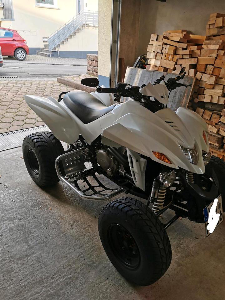  Dinli 450 Quad Lof zulassung 2012 — двигун 450 ccm