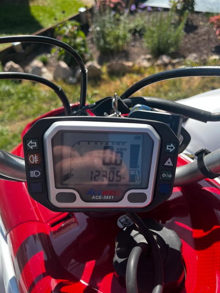 Yamaha YFM 700R Special Edition 2008 — engine 700 ccm