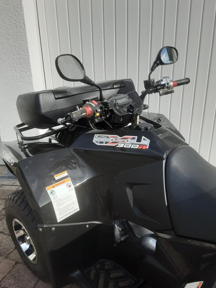 Kymco MXU 300R Quad ATV 2013 — photo 6