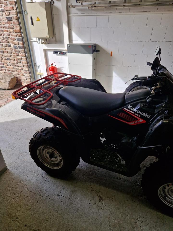 Kawasaki ATV Kawasaki Bruteforce KFV 750 2009 — photo 7