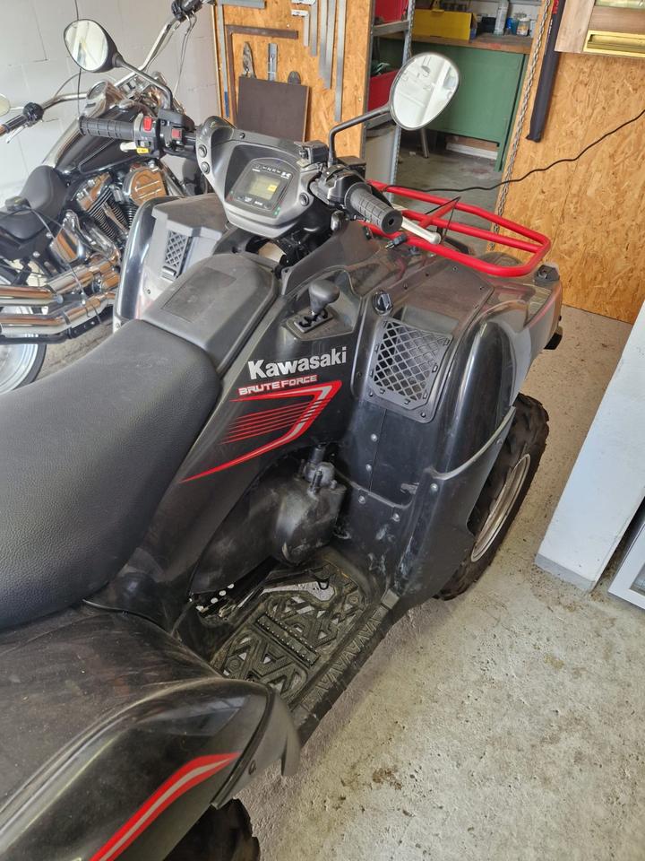 Kawasaki ATV Kawasaki Bruteforce KFV 750 2009 — photo 8