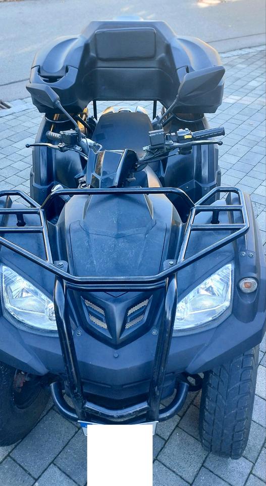 Weitere Motorräder Quad, ATV-Quad 2015 — двигун 272 ccm