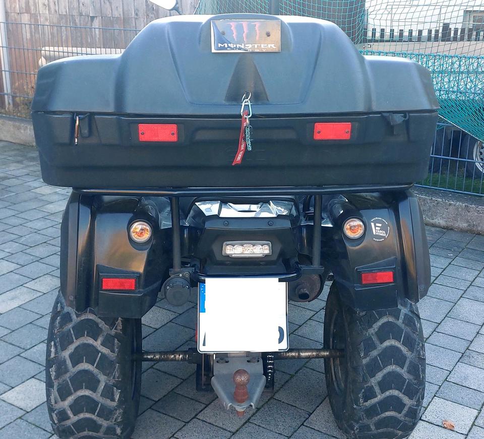 Weitere Motorräder Quad, ATV-Quad 2015 — фото 6