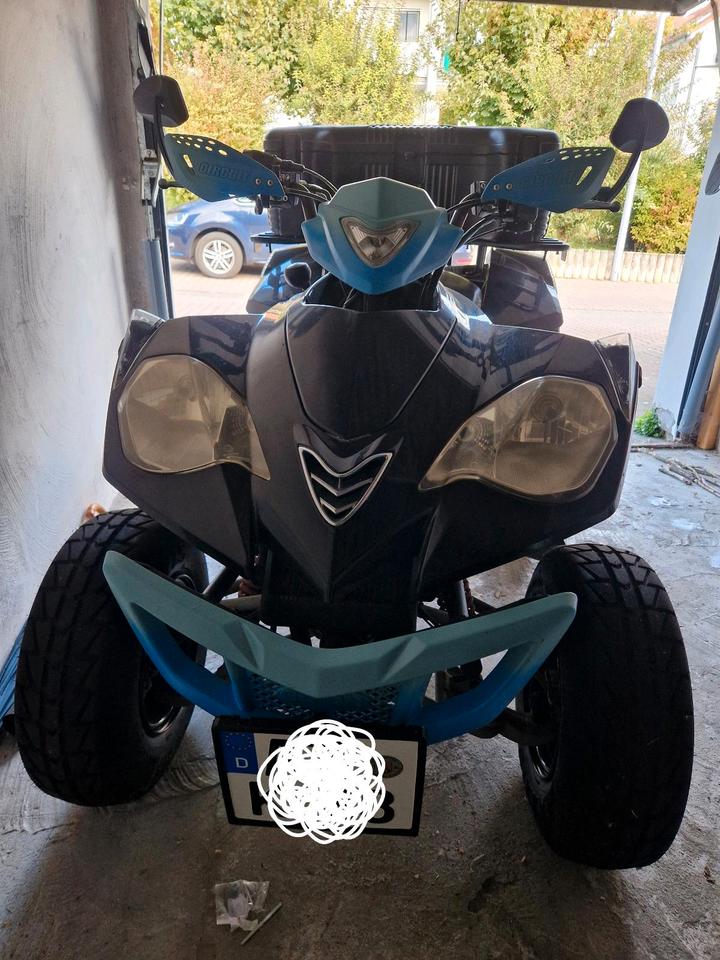  E-Ton Vector 250 Quad EU - Bastlerfahrzeug mit Papieren 2007 — rear view