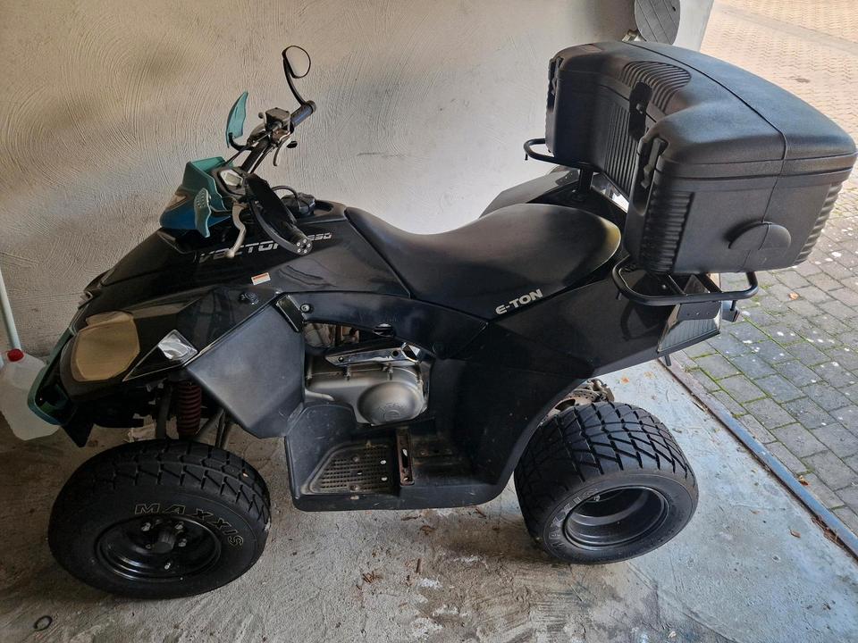  E-Ton Vector 250 Quad EU - Bastlerfahrzeug mit Papieren 2007 — interior