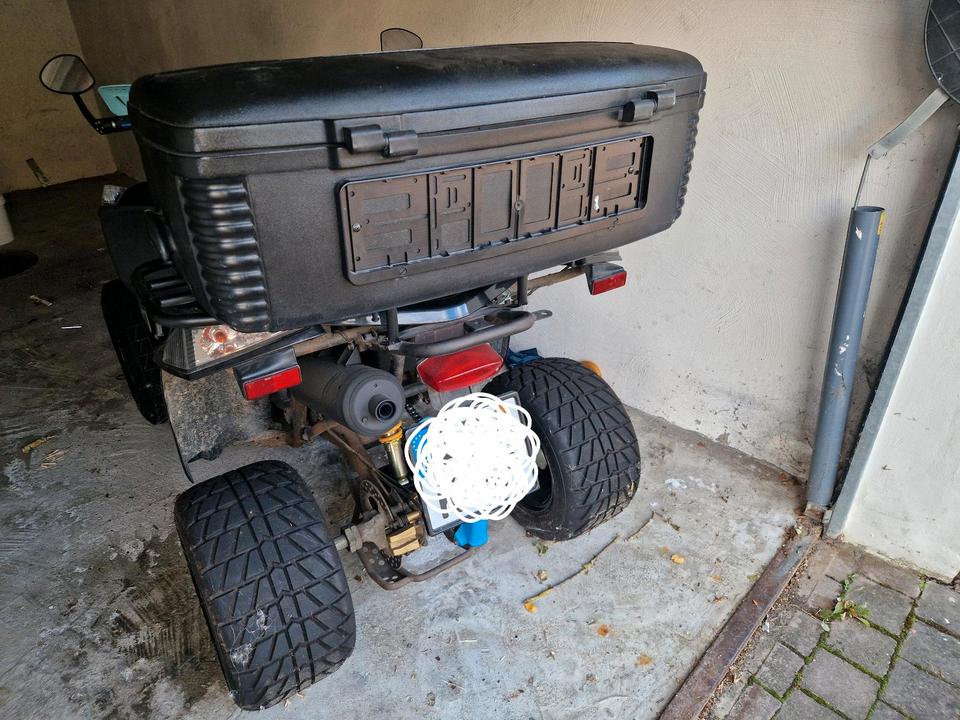  E-Ton Vector 250 Quad EU - Bastlerfahrzeug mit Papieren 2007 — engine 250 ccm