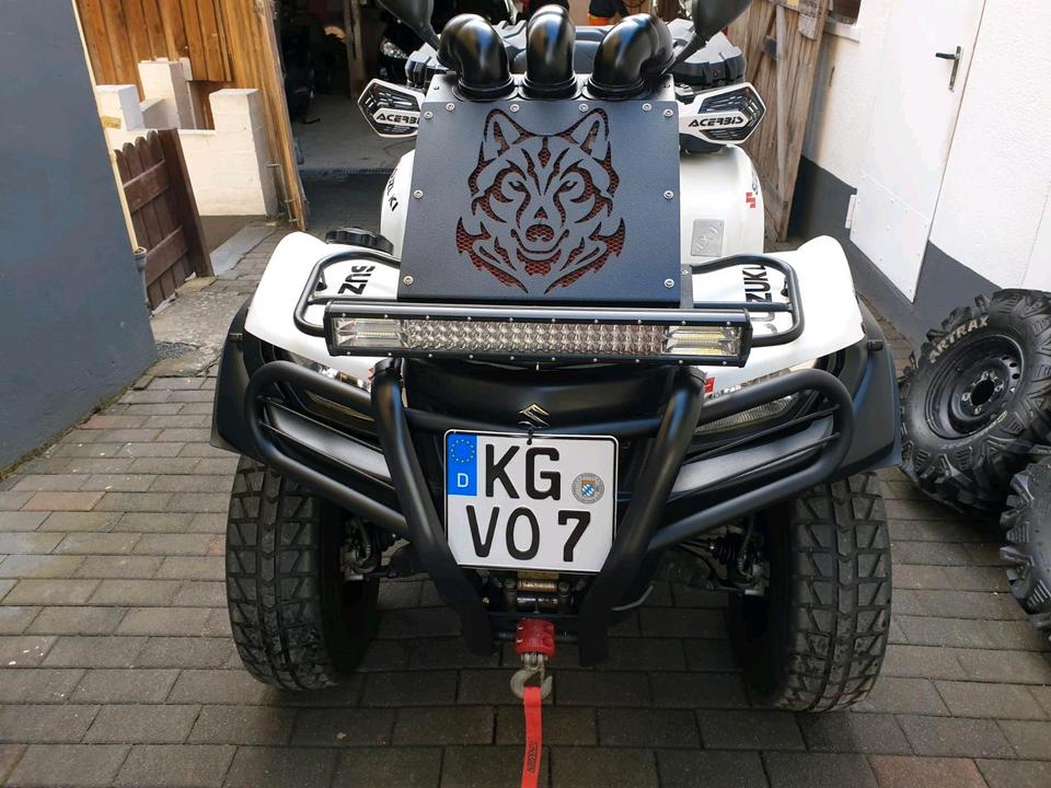 Suzuki kingQuad 750 ccm 2011 — rear view