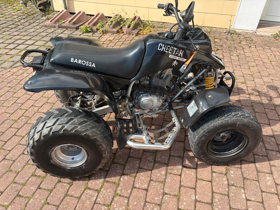  Gelöscht • Barossa cheetah 170ccm ohne tüv auch Tausch möglich 2004 — interior
