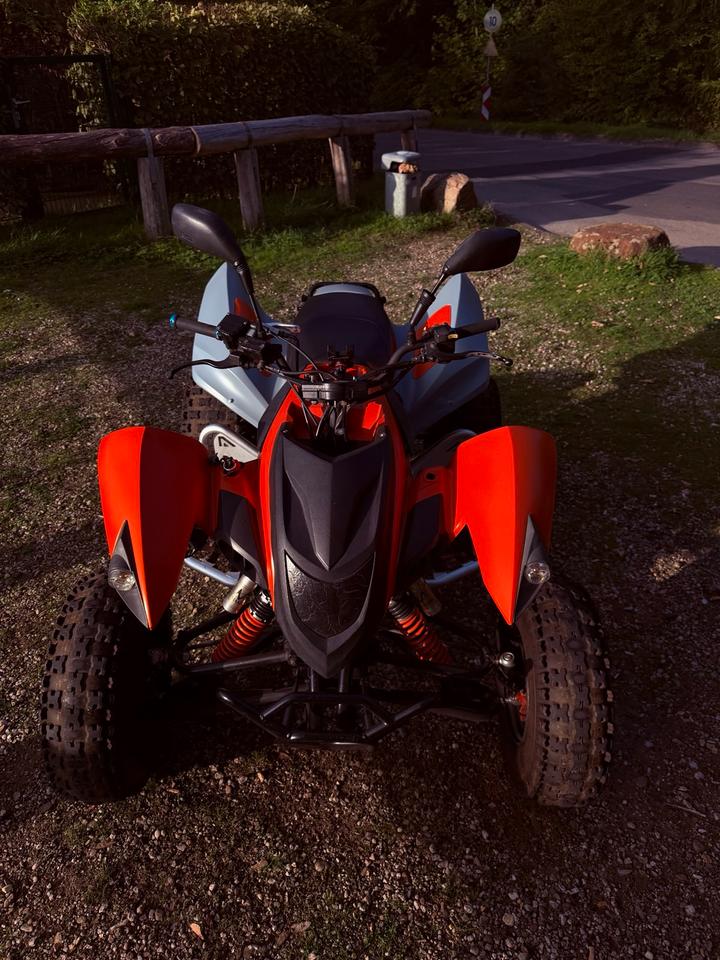 Weitere Motorräder Quad Adly 500S mit Subaru Motor, LOF-Zulassung, TÜV bis 2028 2008 — photo 5