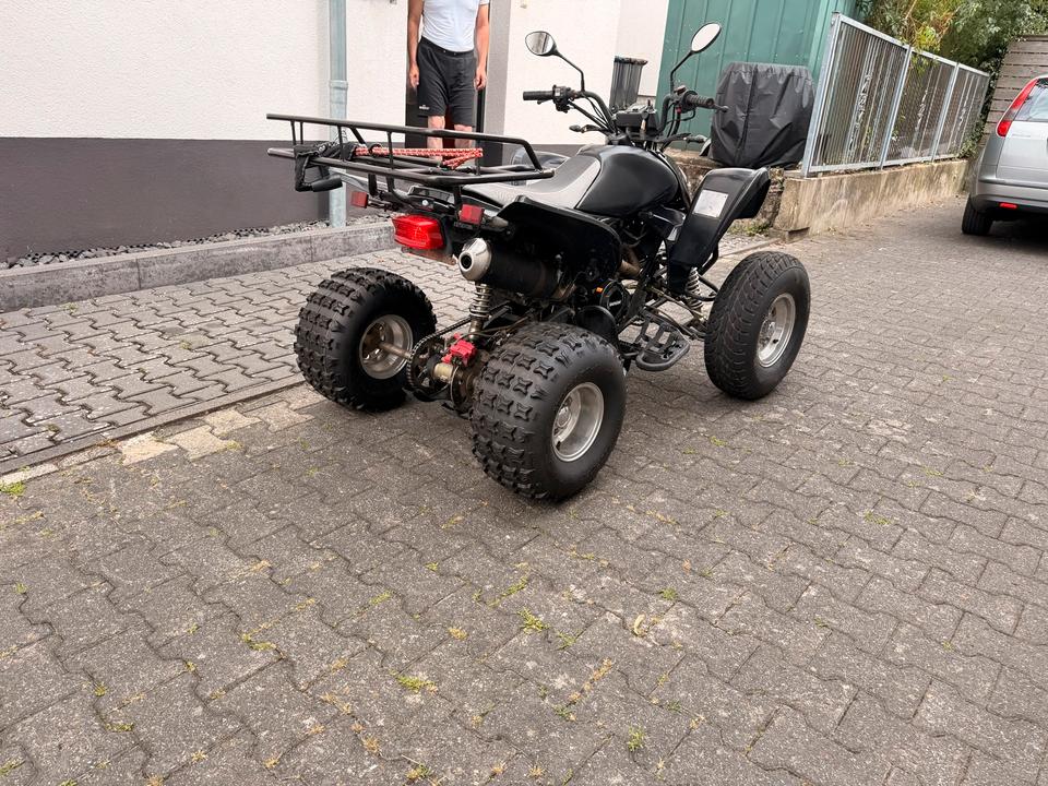  Shineray Kuba Quad 250 cc 2013 — photo 5
