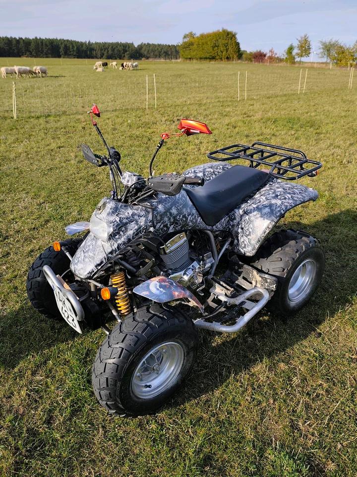 Weitere Motorräder Gelöscht • Verkaufe mein geliebtes Quad SMC Explorer Stinger"! TÜV Bis 2028! 2006 — photo 17