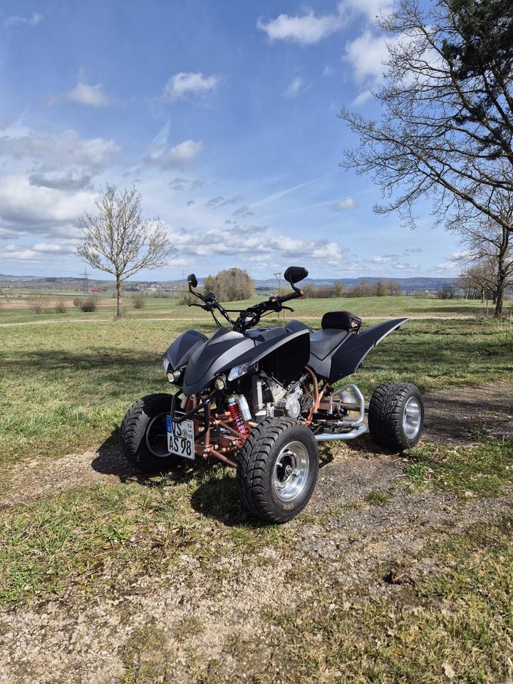 Weitere Motorräder Quad SMC CANYON 2010 — photo 9