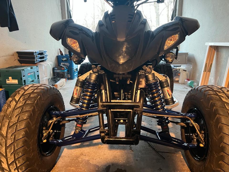 Weitere Motorräder Dinli 450 LOF sehr guter Zustand 2013 — двигун 450 ccm