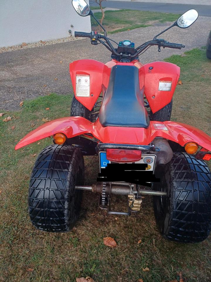 Weitere Motorräder Derbis SM 1A 250 CCM 2005 — rear view
