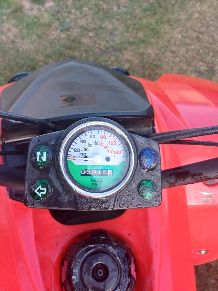 Weitere Motorräder Derbis SM 1A 250 CCM 2005 — engine 250 ccm
