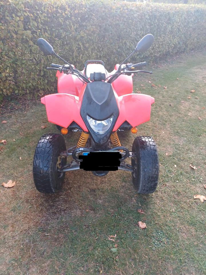Weitere Motorräder Derbis SM 1A 250 CCM 2005 — photo 6