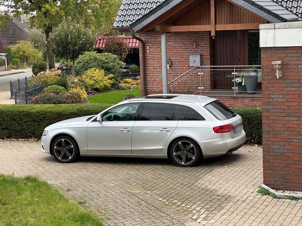 Audi A4 2008 — вигляд ззаду