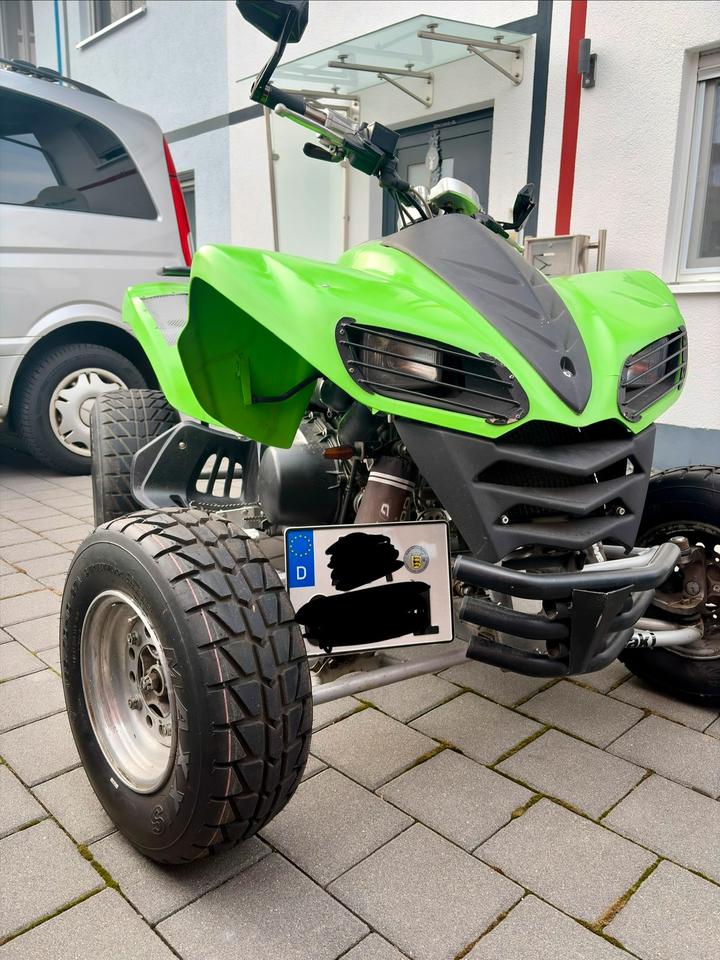 Kawasaki KFX700 2008 — вигляд ззаду