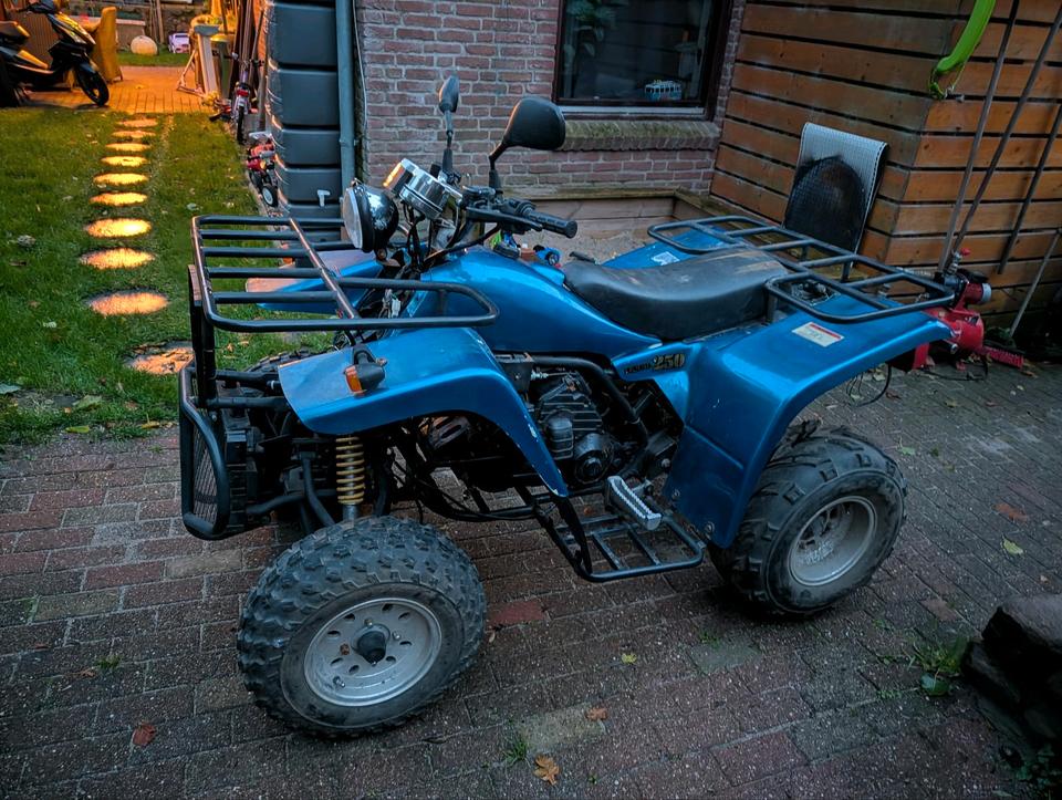  Ein Quad an Bastler 2005 — салон