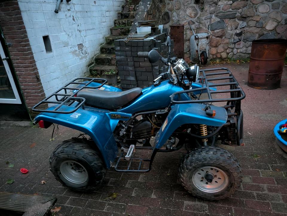  Ein Quad an Bastler 2005 — двигун