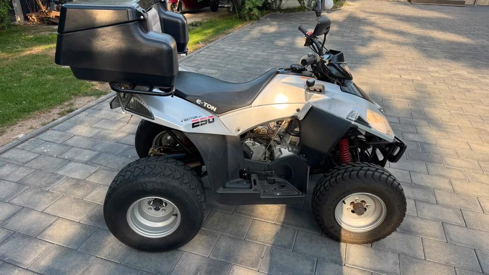 Weitere Motorräder Gelöscht • E-Ton 250 ccm Quad atv 2006 — engine 250 ccm
