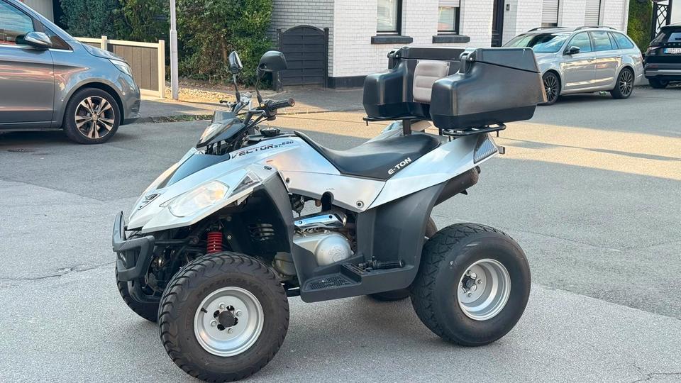 Weitere Motorräder Gelöscht • E-Ton 250 ccm Quad atv 2006 — photo 5
