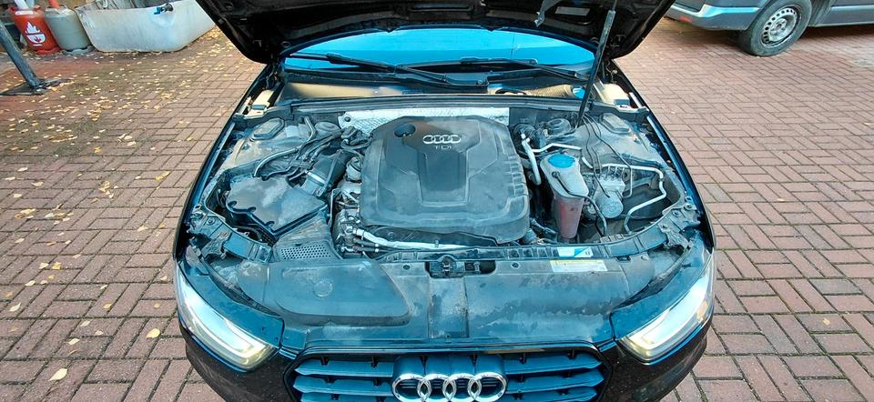 Audi A4 2015 — photo 15