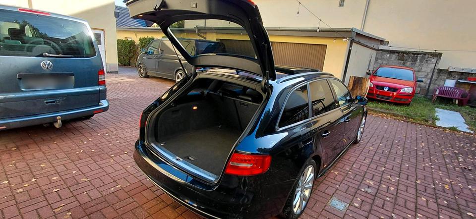 Audi A4 2015 — photo 6